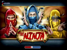 the ninja slot endorphina